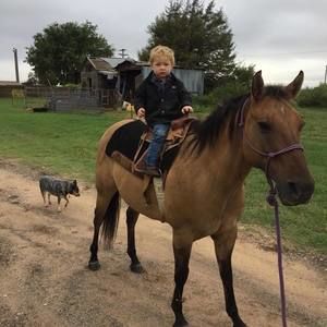 Meet your Posher, Anthony